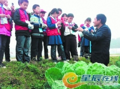 小学实践课搬到有机农场 孩子们同土壤交朋友